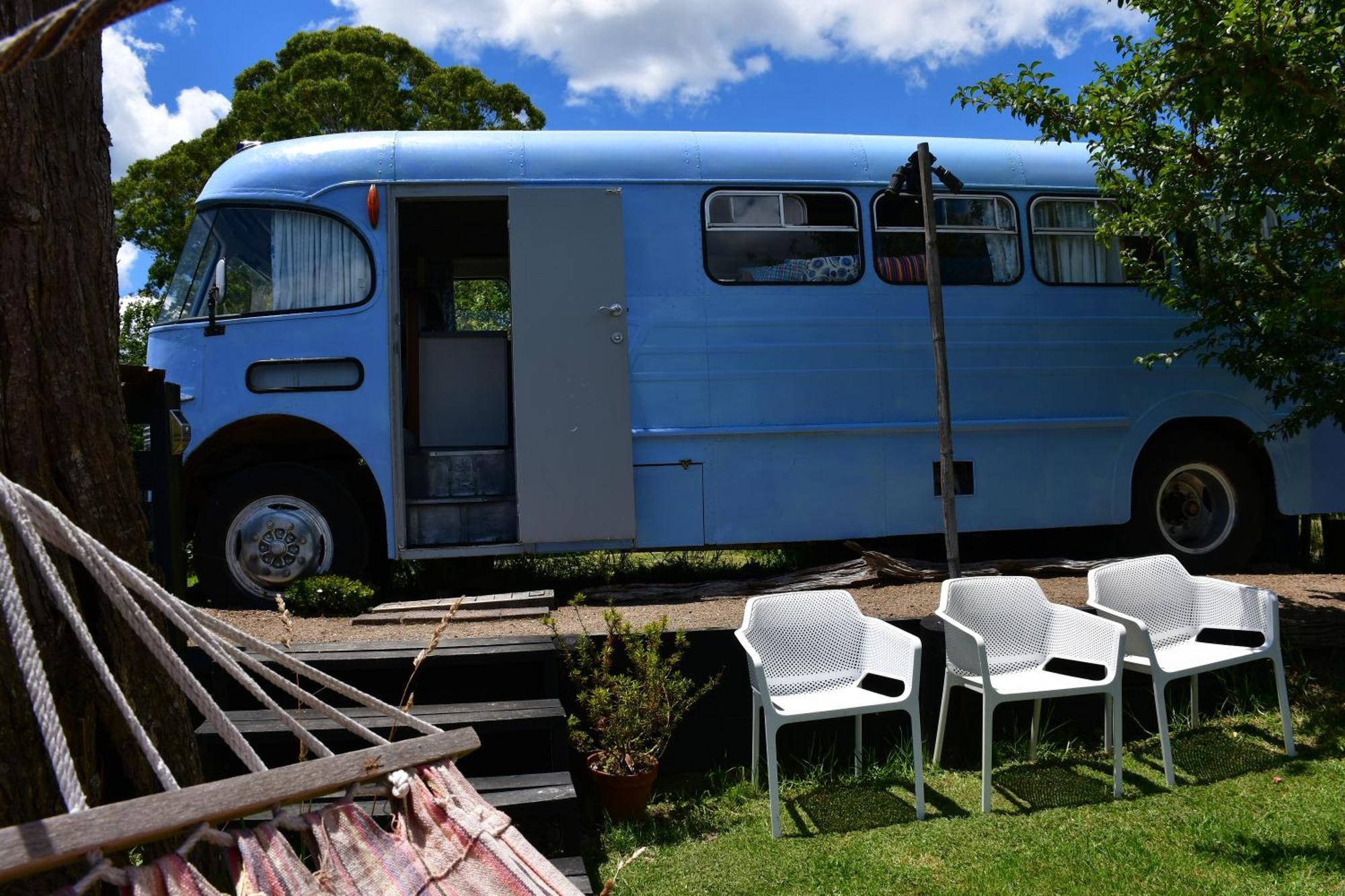 Evi The School Bus At Oromahoe Downs Farm Puketona Extérieur photo