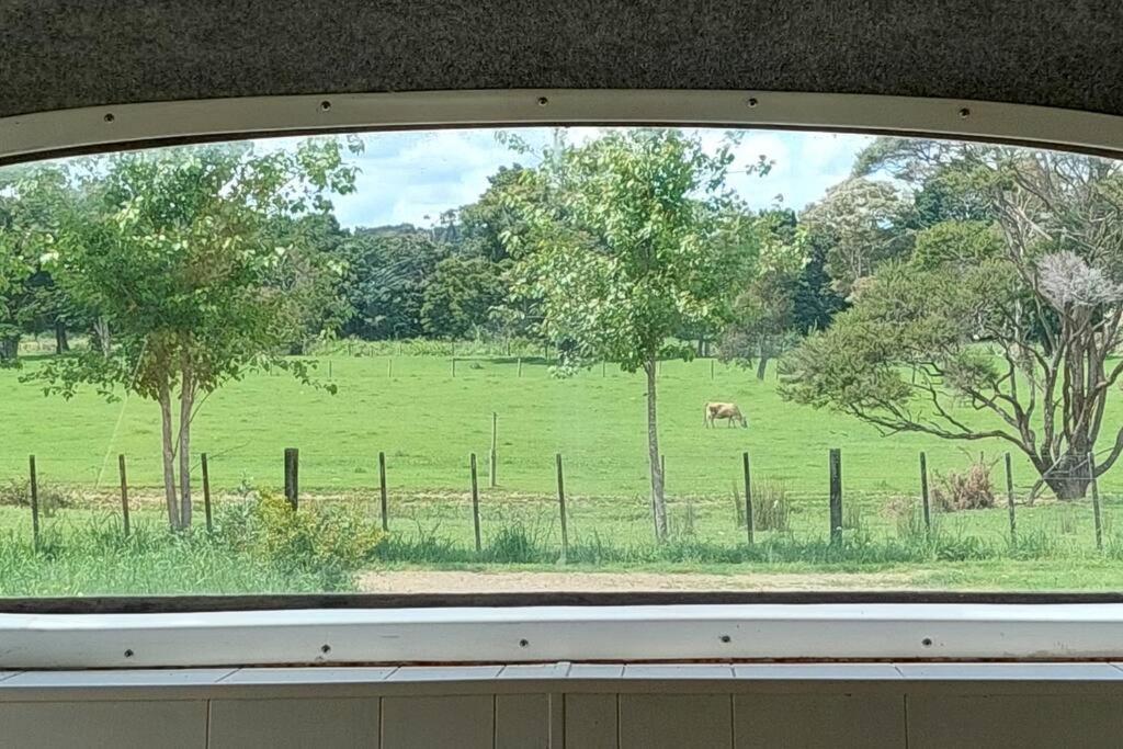 Evi The School Bus At Oromahoe Downs Farm Puketona Extérieur photo