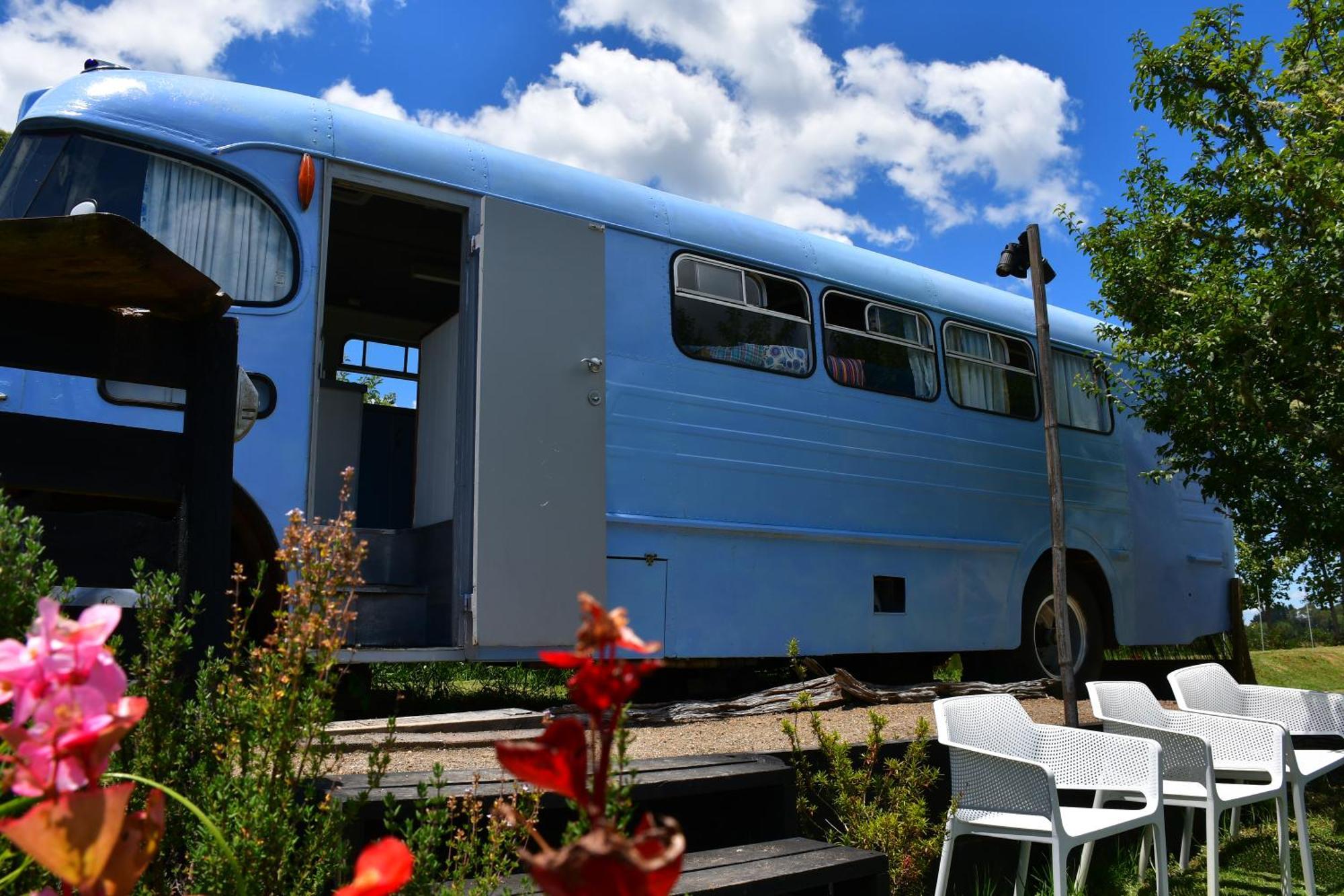 Evi The School Bus At Oromahoe Downs Farm Puketona Extérieur photo